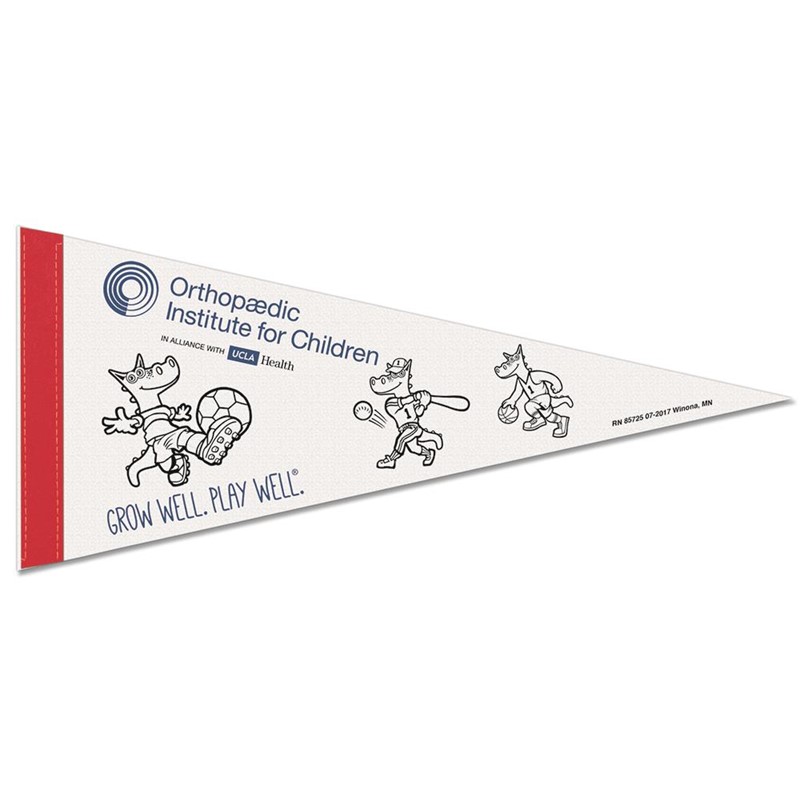 Custom 8'' x 18'' White Felt Pennant - Printed School Supplies | Campus Marketing Specialists